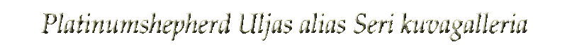 Galleria (312K)