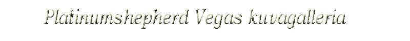 Galleria_Vegas (6K)
