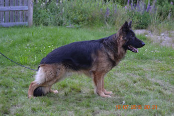 PS_Wagner1 (27K)